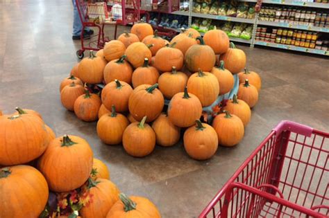 cheapest pumpkins in my area